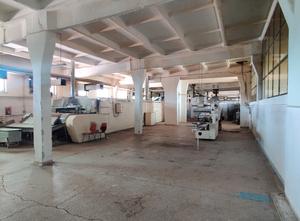 Bread production line 10to/24h